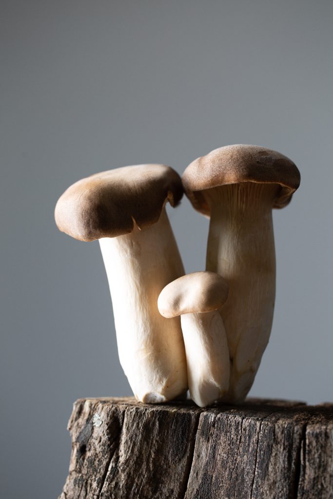 Food photographer Byron Bay Nelly le Comte